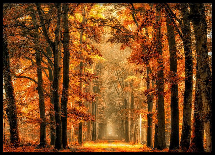 Poster - Alley