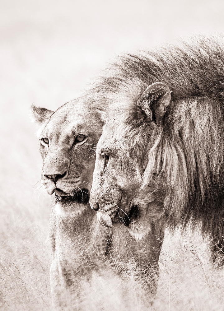 Plakat - A King Will Always Protect His Queen