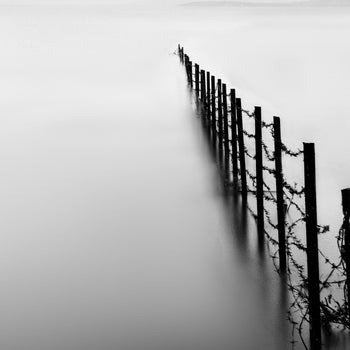 Canvastavla - Fence in the Lake