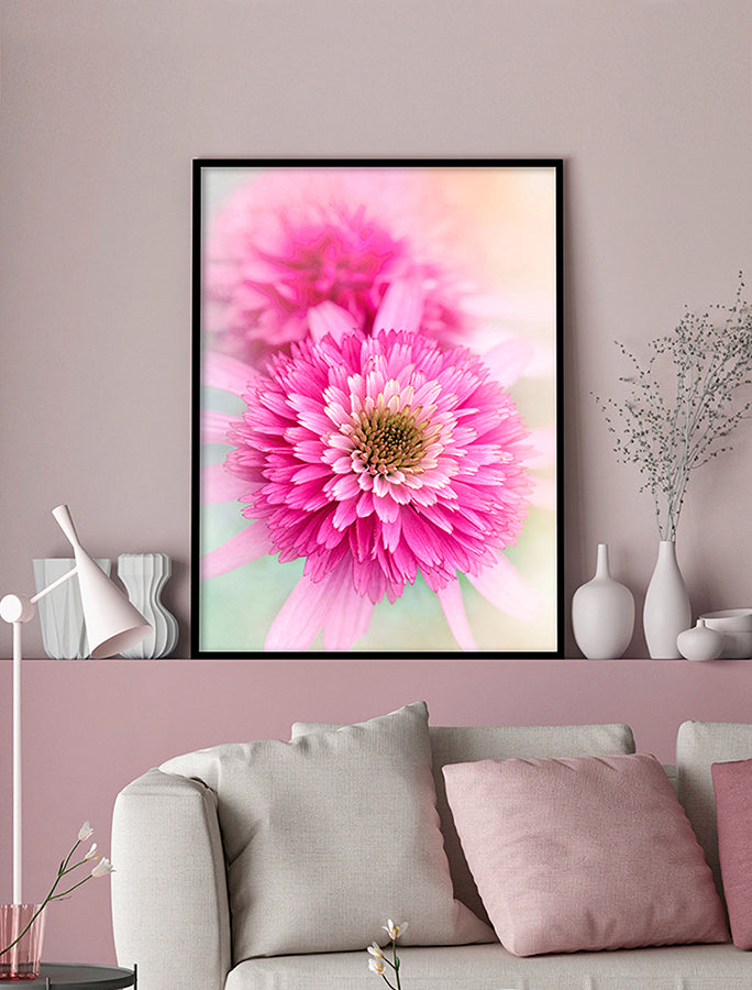 Poster - Carnation