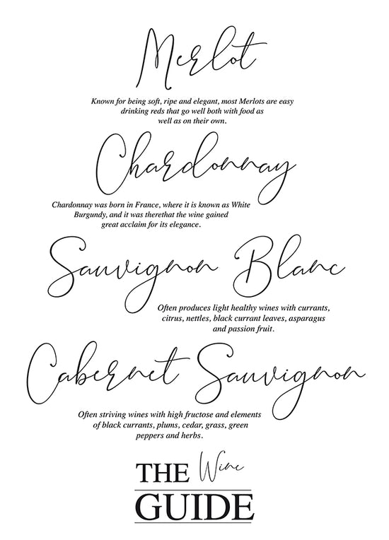 Plakat - The wine guide