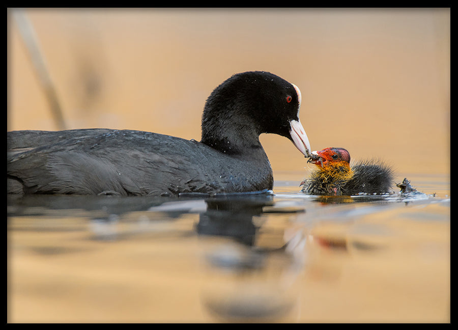 Poster - Motherhood