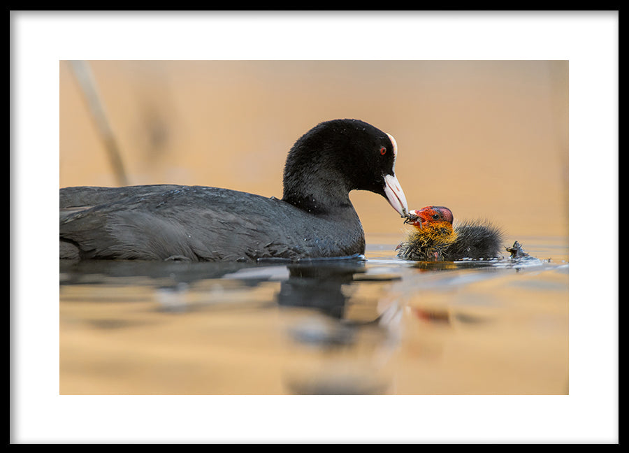 Poster - Motherhood