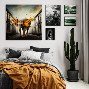 Poster - Dreams