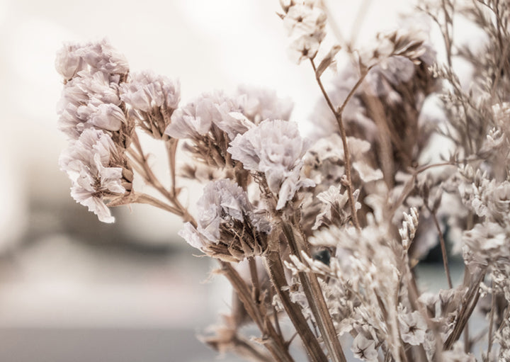 Plakat - Dry purple flower