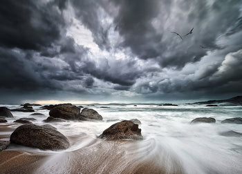Ljuddämpande tavla - Power Of Nature