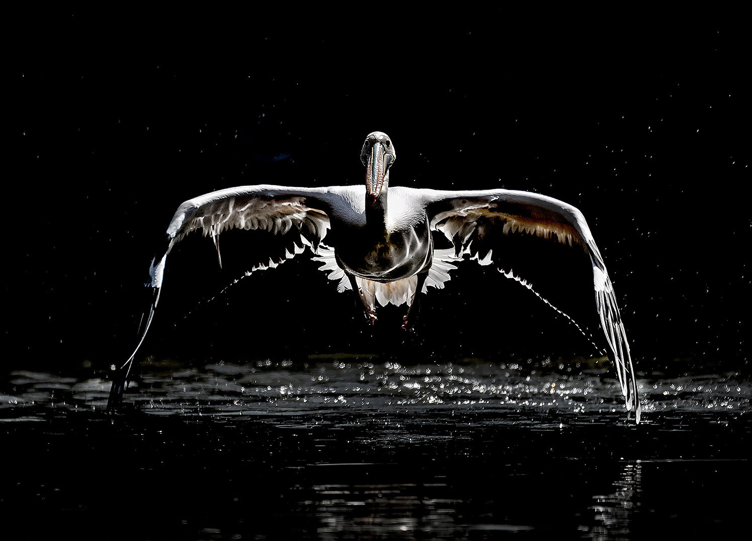 Ljuddämpande tavla - Flight