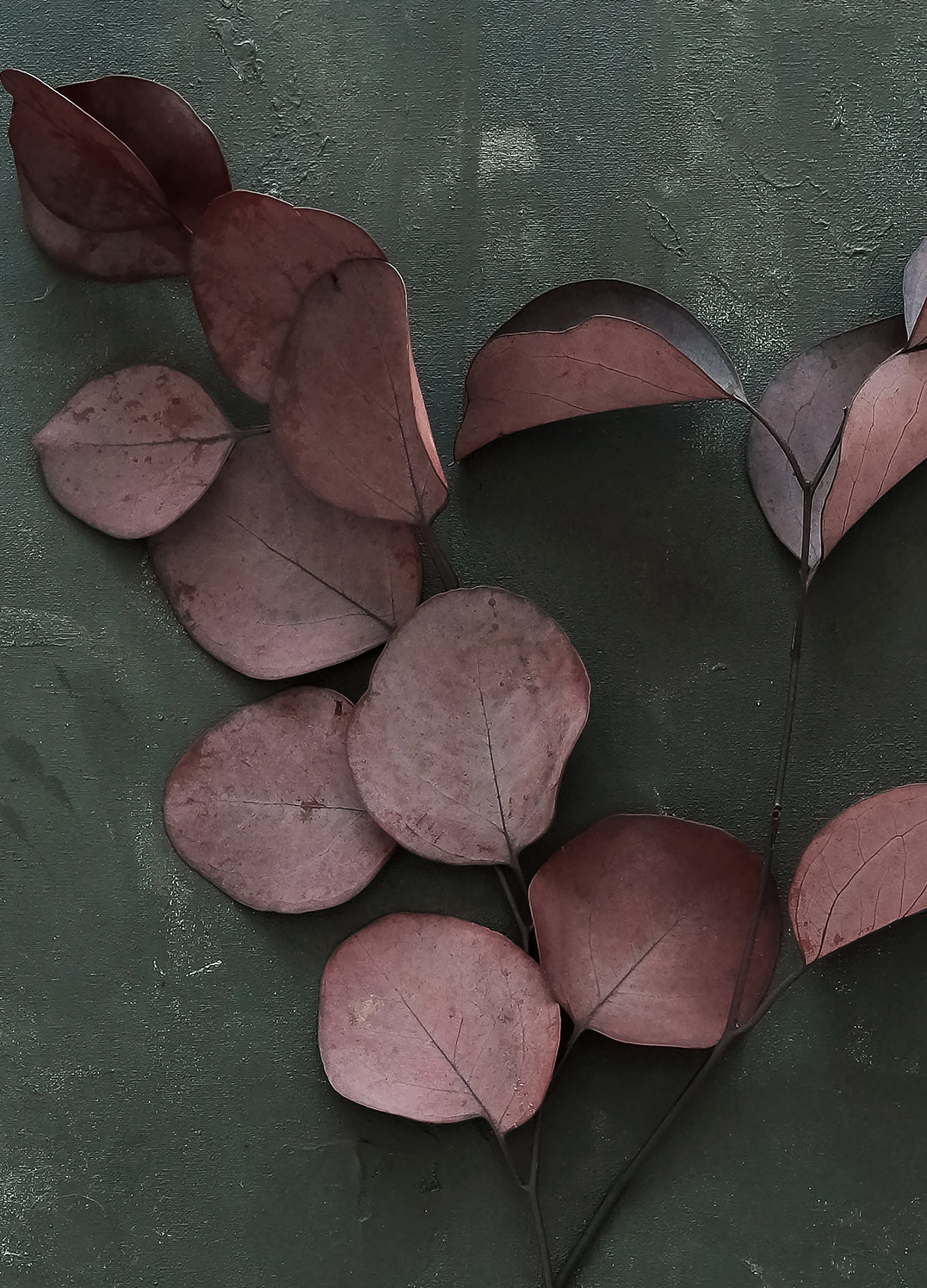 Canvastavla - Red Leaves (80x120cm)