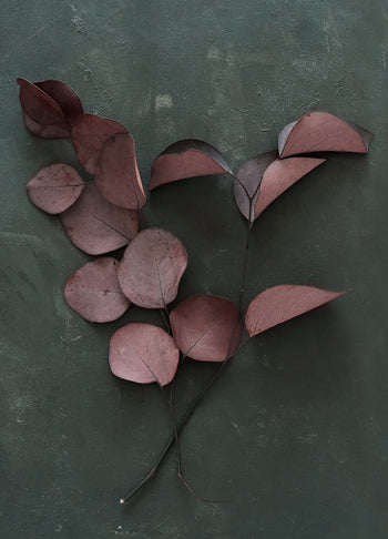 Canvastavla - Red Leaves (80x120cm)