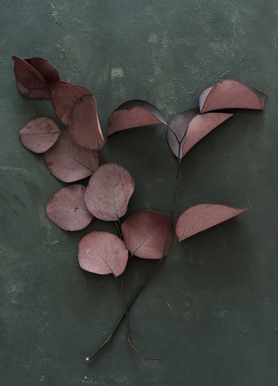 Canvastavla - Red Leaves (80x120cm)