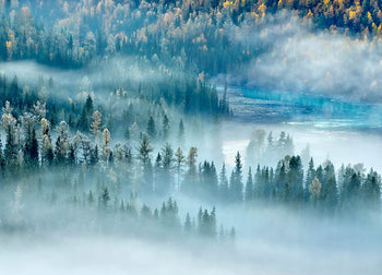 Tavla - River and Forest (80x120cm)