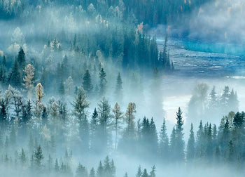 Tavla - River and Forest (80x120cm)