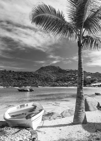 Canvastavla - West Indies (70x100)