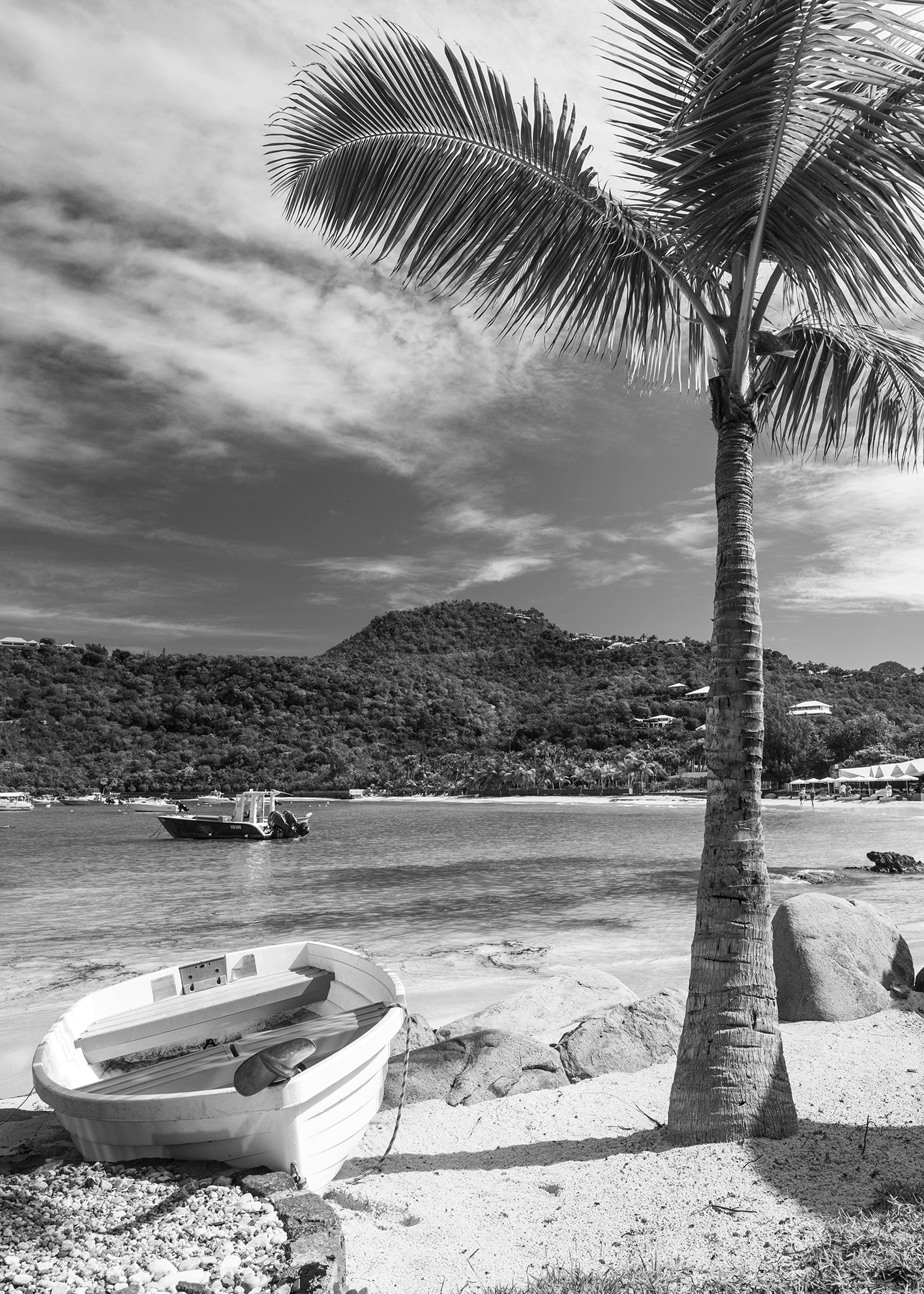Canvastavla - West Indies (70x100)