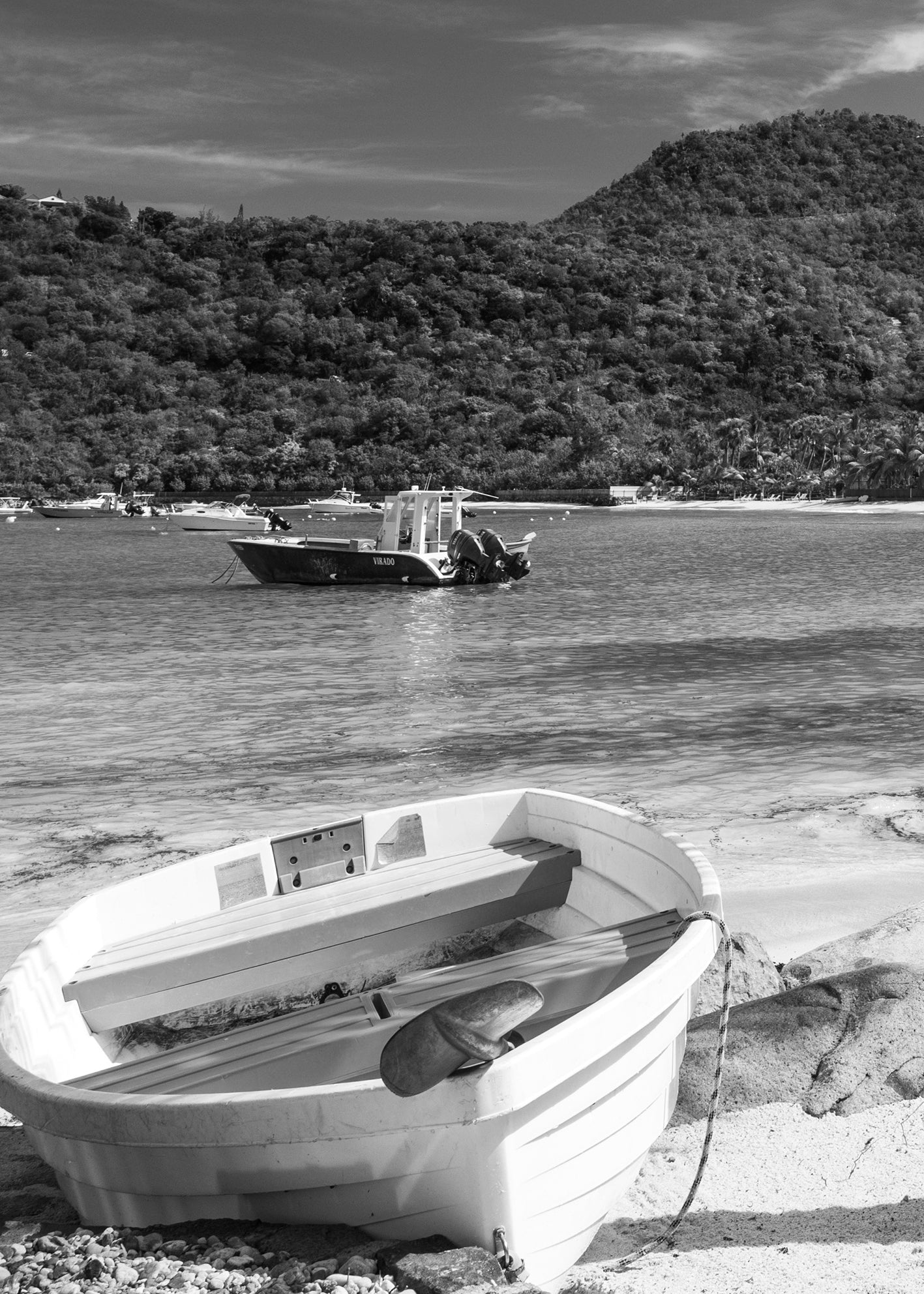 Canvastavla - West Indies (70x100)