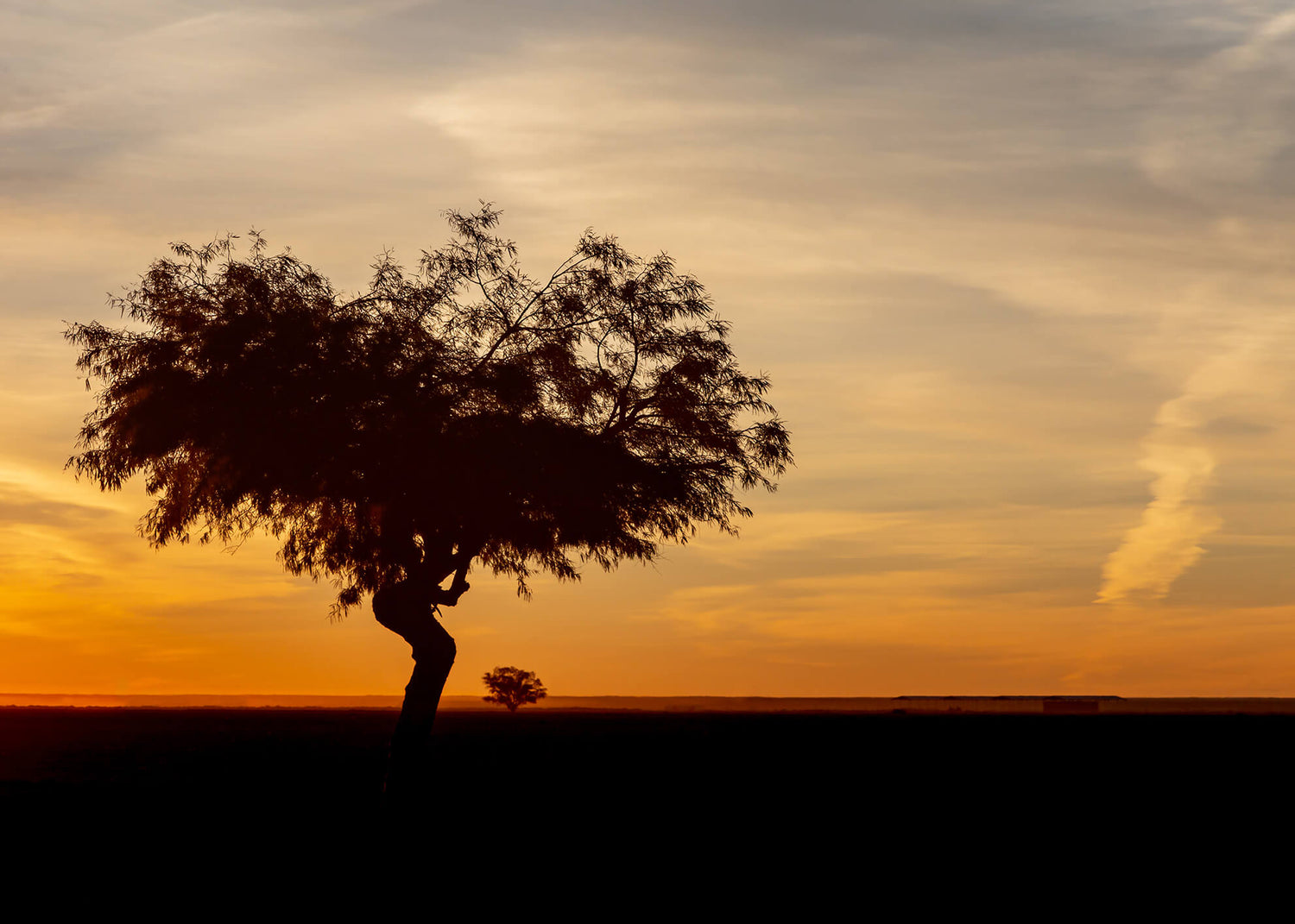 Canvastavla - African landscape (80x120)