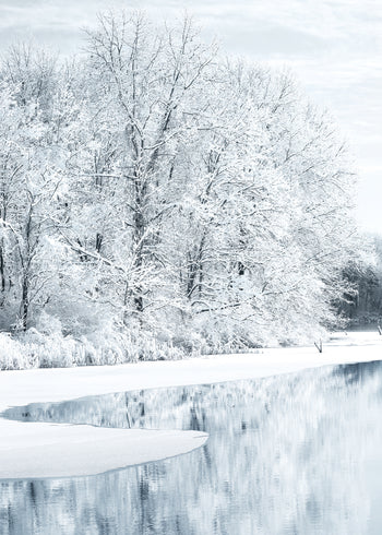 Canvastavla - Snow Covered