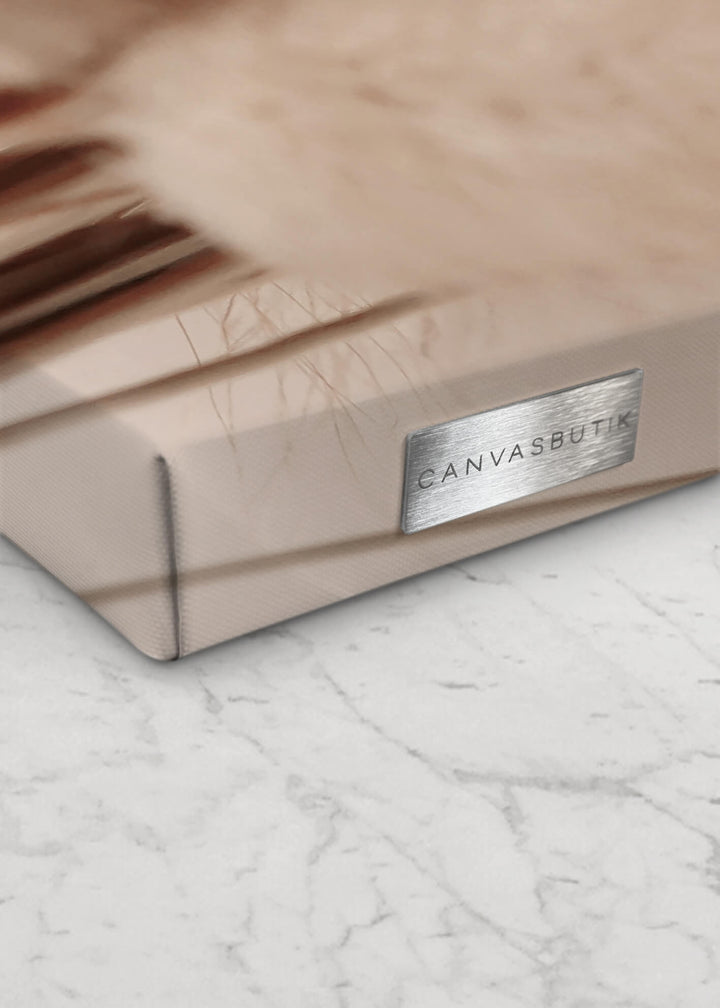 Canvastavla - Soft Pampas No2 (50x70)