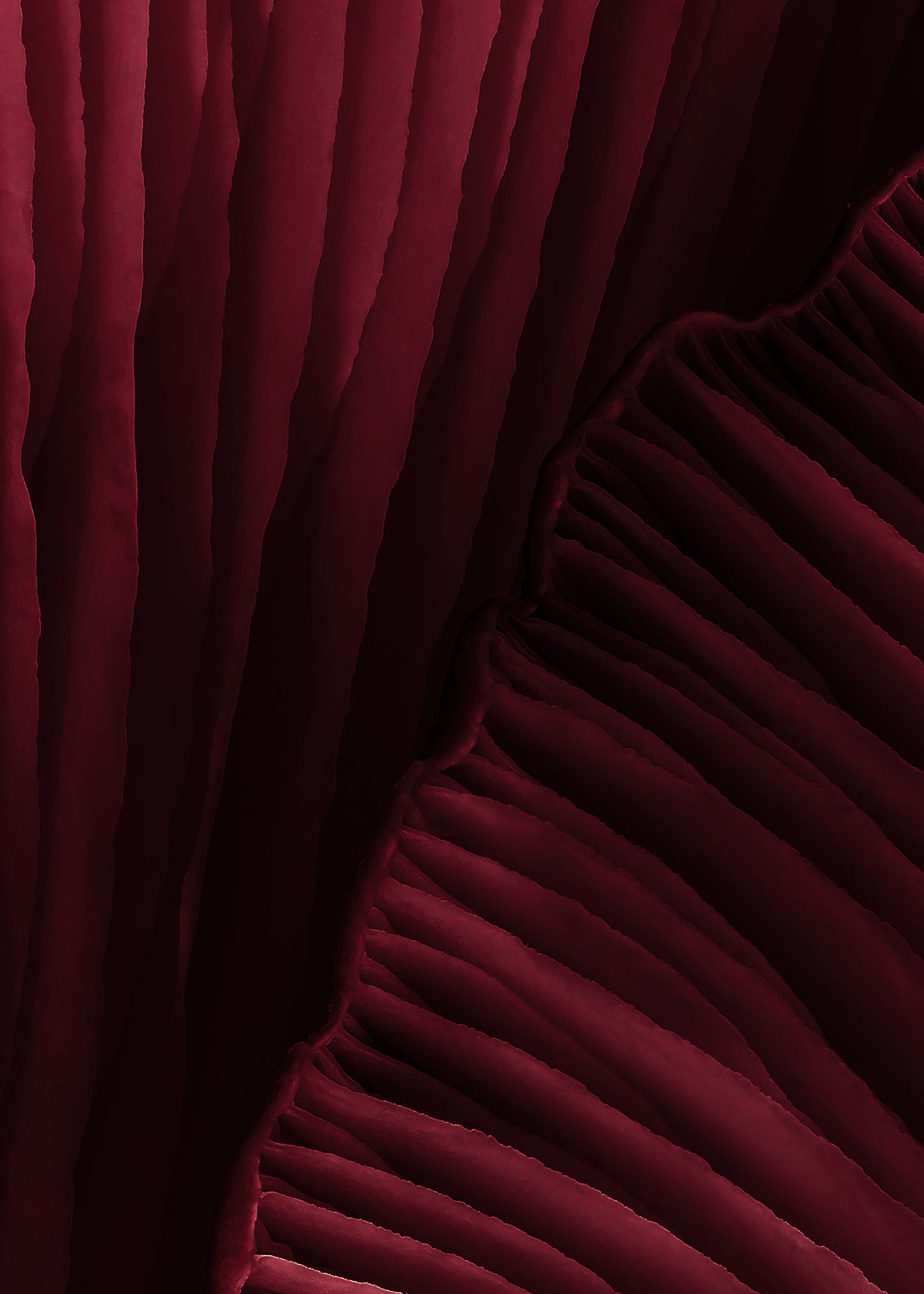 Canvastavla - Viva Magenta (50x70)