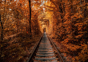 Poster - Tunnel of Autumn