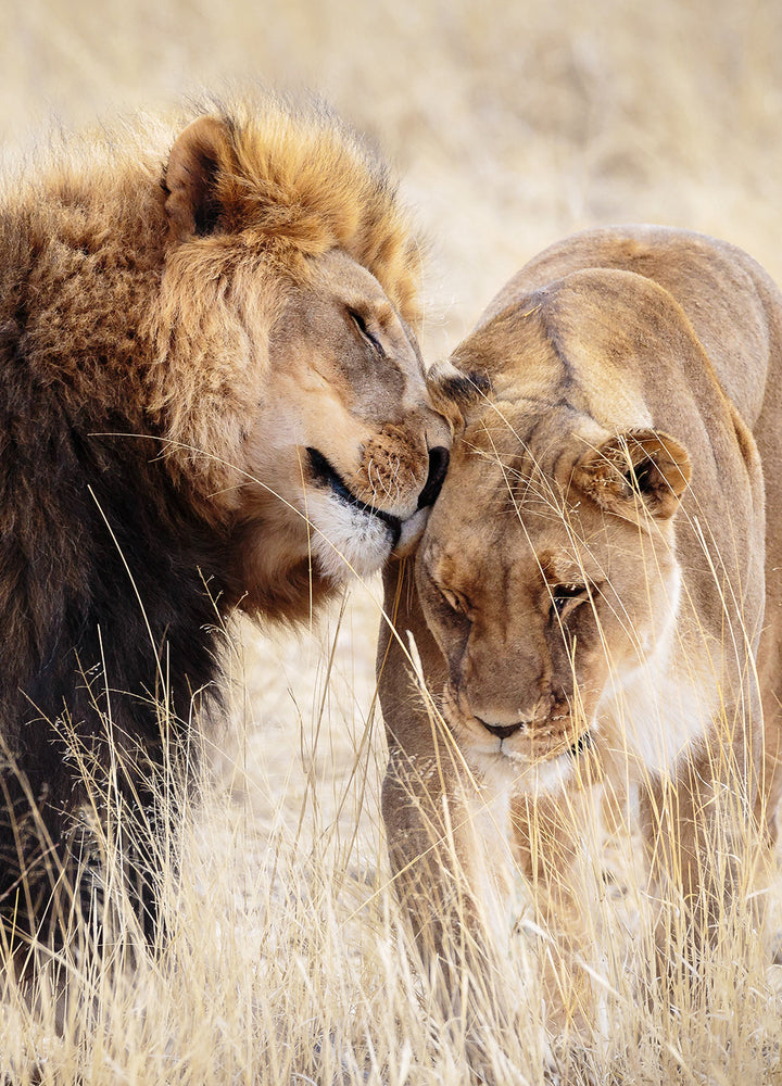 Plakat - A King Only Bows Down to His Queen
