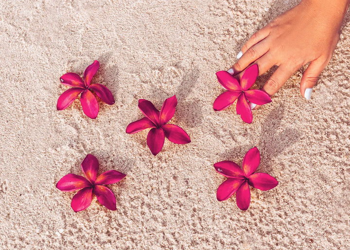 Lerretsbilde - Red Flowers on Sand