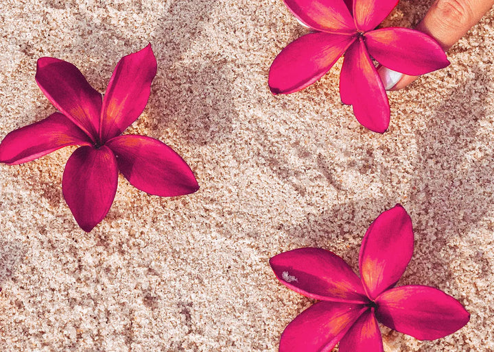 Lerretsbilde - Red Flowers on Sand