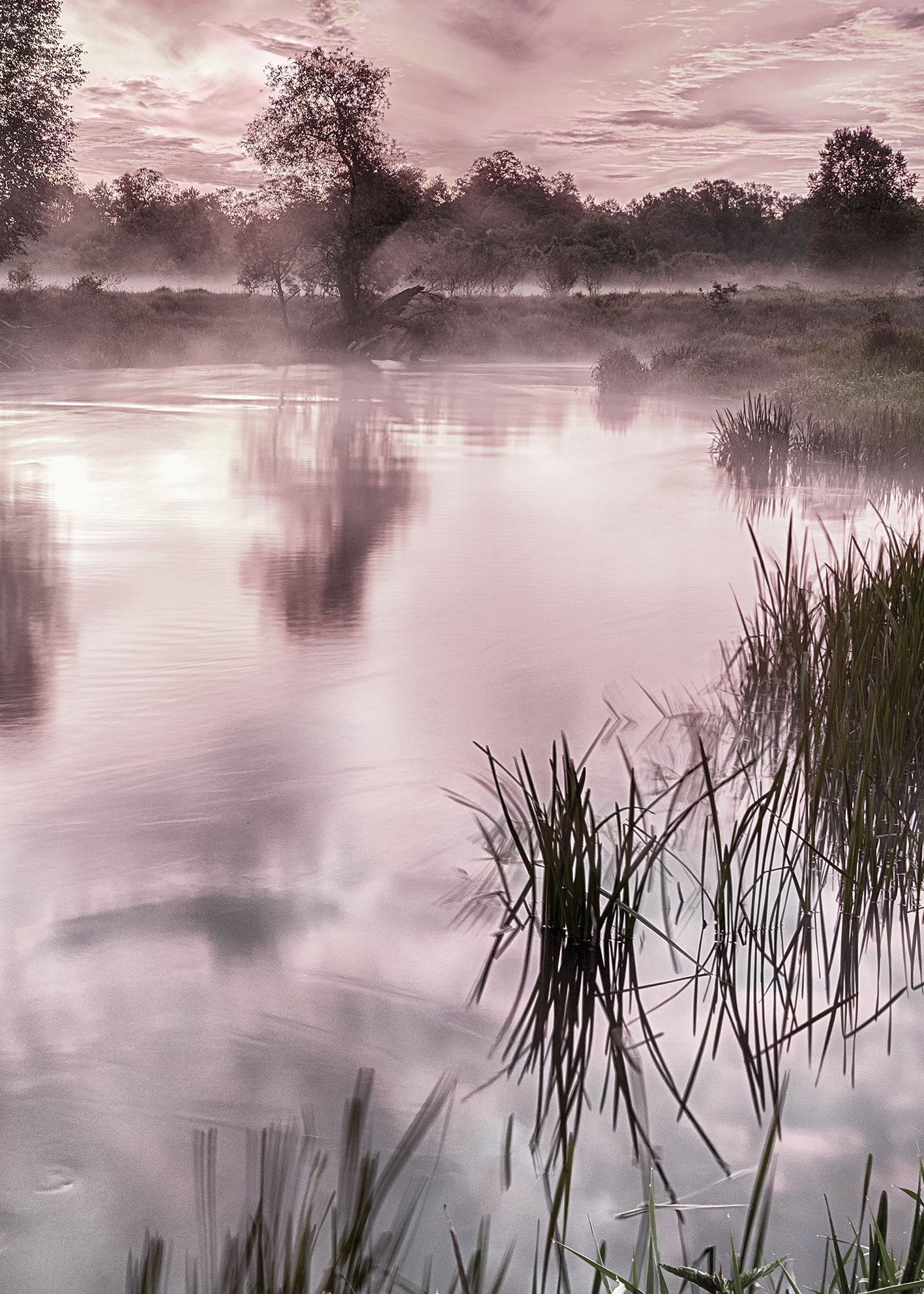 Canvastavla - River Banks