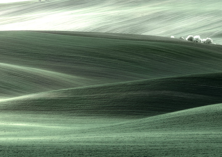 Plakat - Area Green