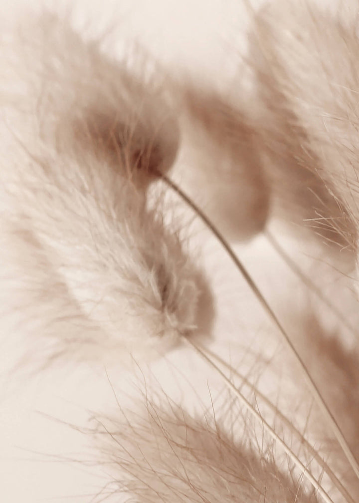 Canvastavla - Soft Pampas No2