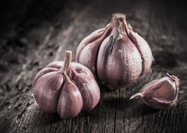 Plakat - Garlic